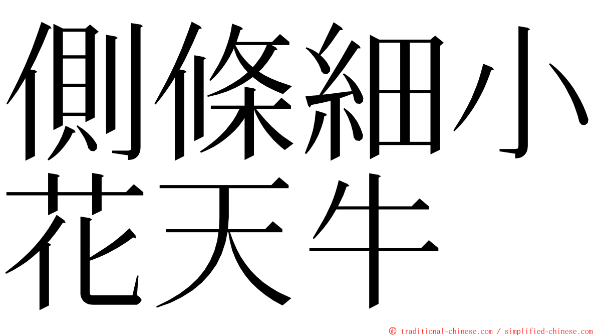 側條細小花天牛 ming font