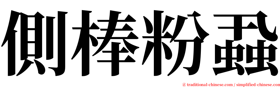 側棒粉蝨 serif font