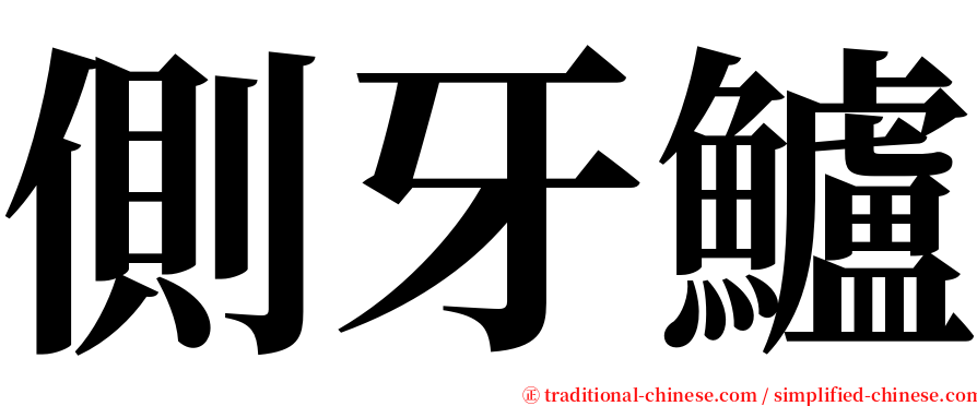 側牙鱸 serif font