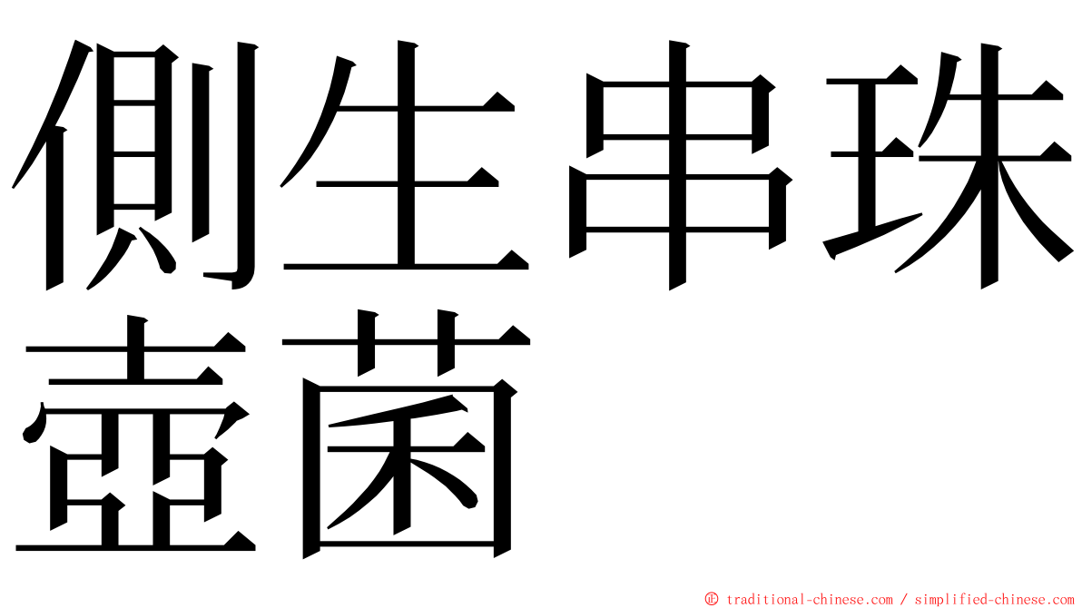 側生串珠壺菌 ming font