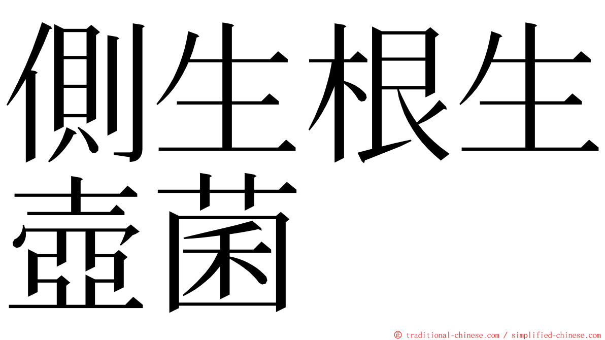 側生根生壺菌 ming font