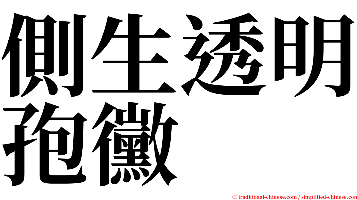 側生透明孢黴 serif font