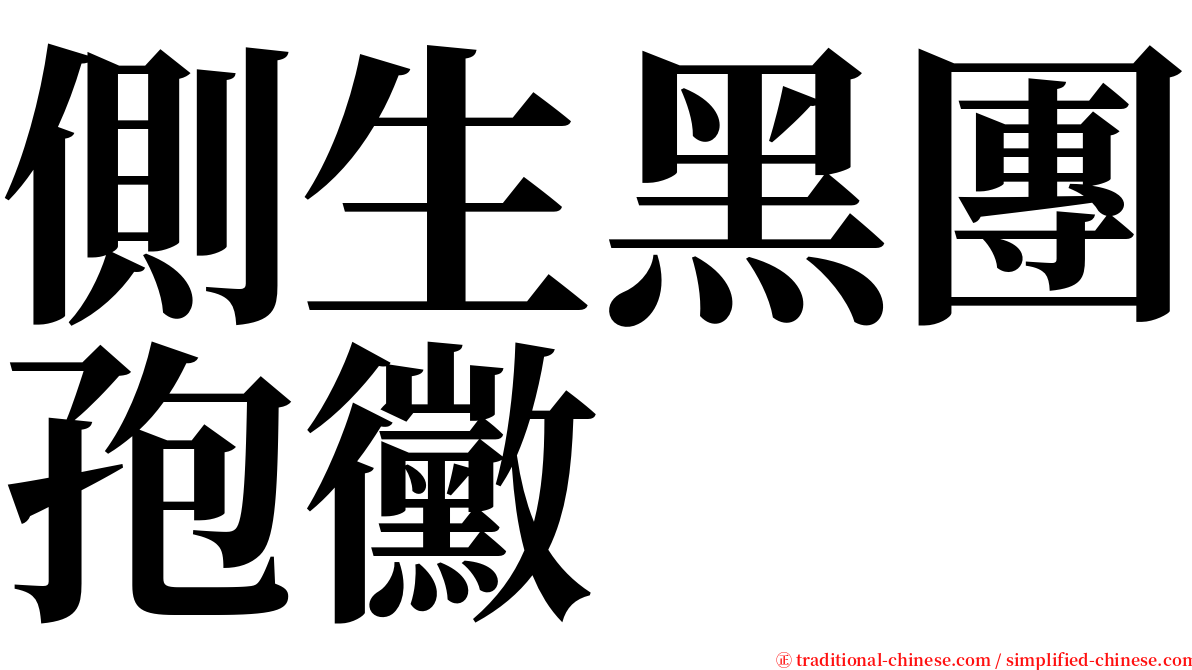 側生黑團孢黴 serif font