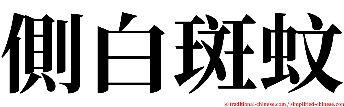 側白斑蚊 serif font