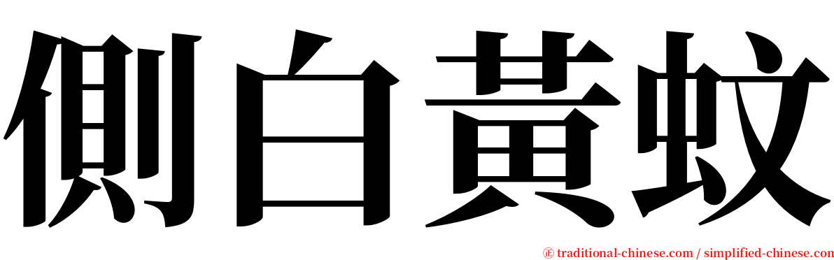 側白黃蚊 serif font