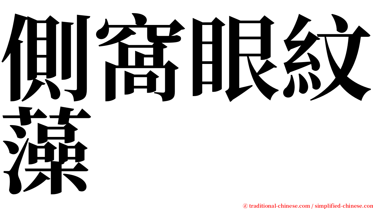 側窩眼紋藻 serif font