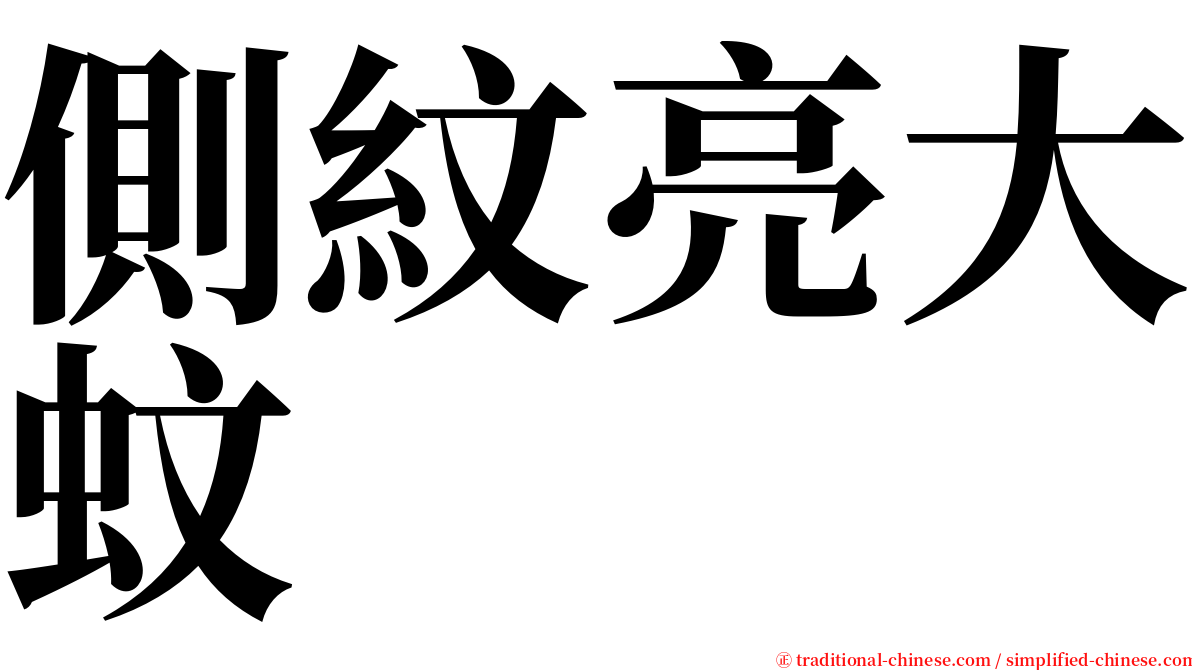 側紋亮大蚊 serif font