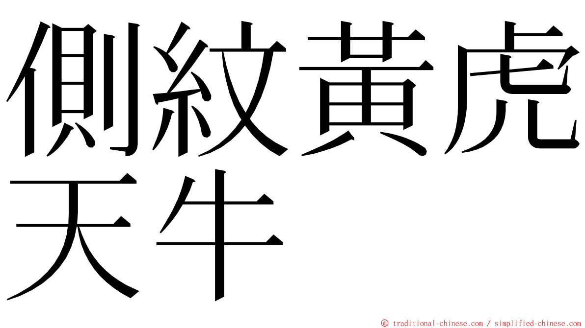 側紋黃虎天牛 ming font