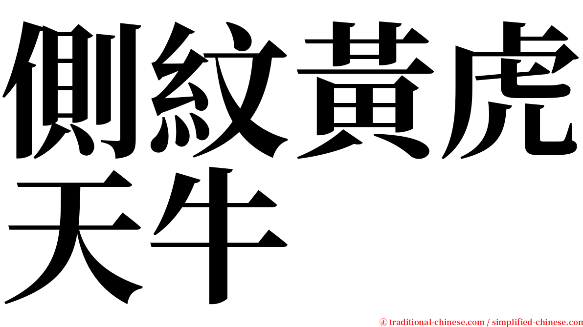 側紋黃虎天牛 serif font