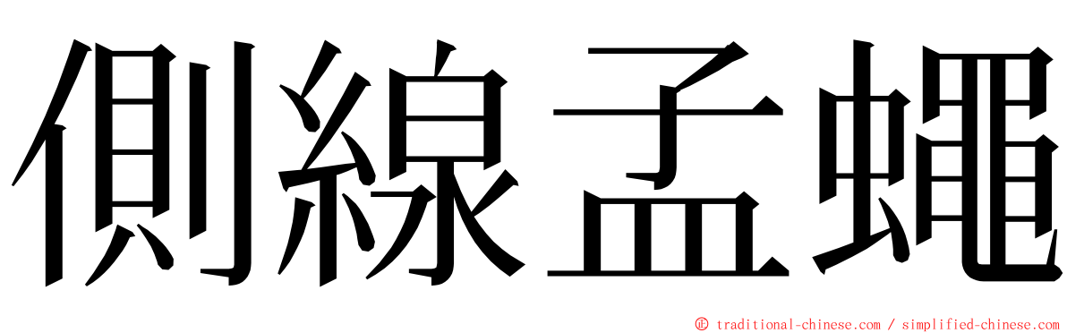 側線孟蠅 ming font