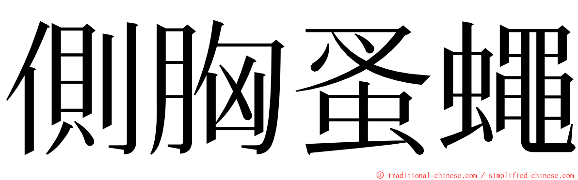 側胸蚤蠅 ming font