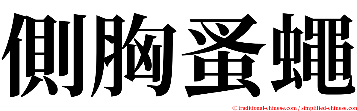 側胸蚤蠅 serif font