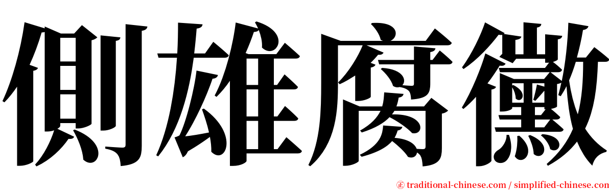 側雄腐黴 serif font