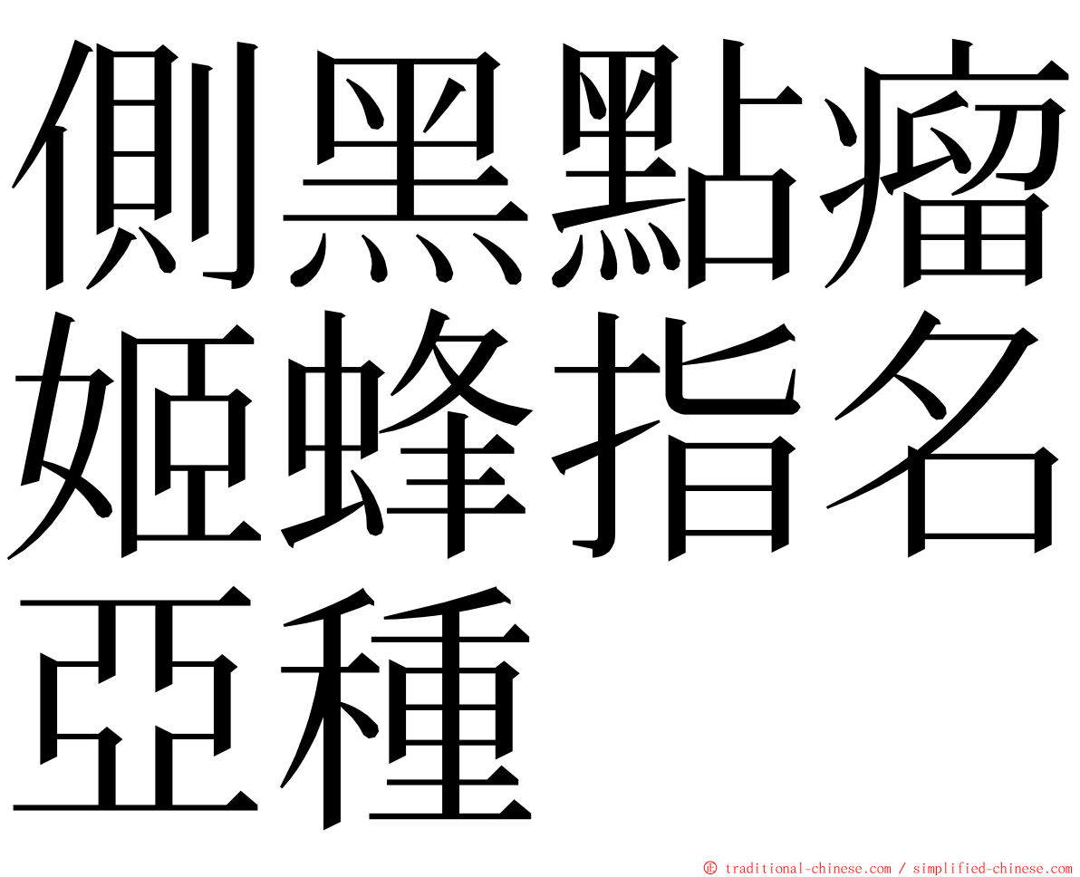 側黑點瘤姬蜂指名亞種 ming font