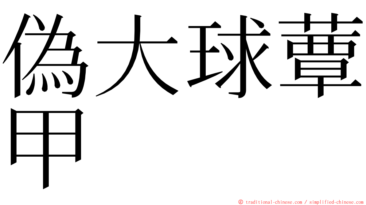 偽大球蕈甲 ming font