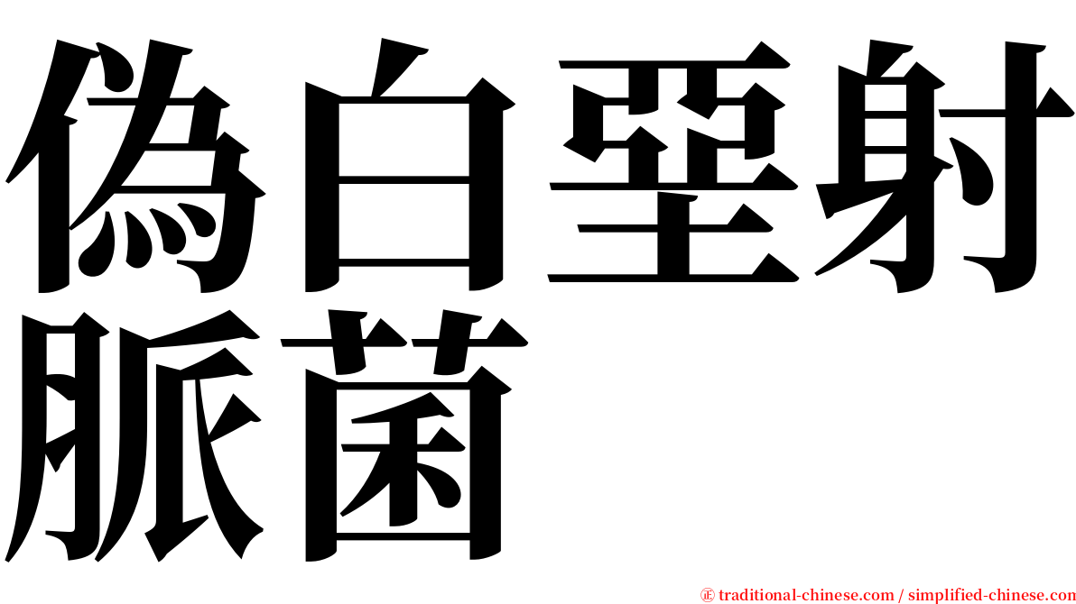 偽白堊射脈菌 serif font