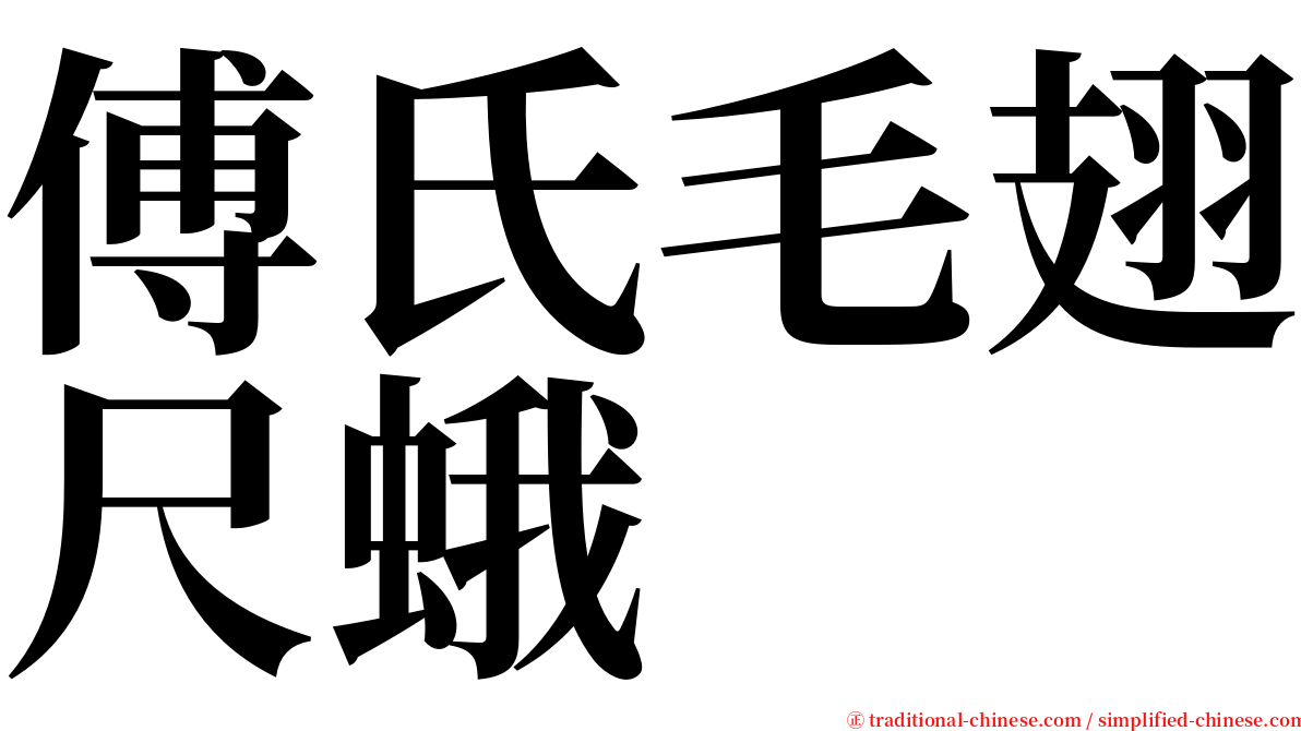 傅氏毛翅尺蛾 serif font