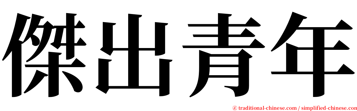 傑出青年 serif font