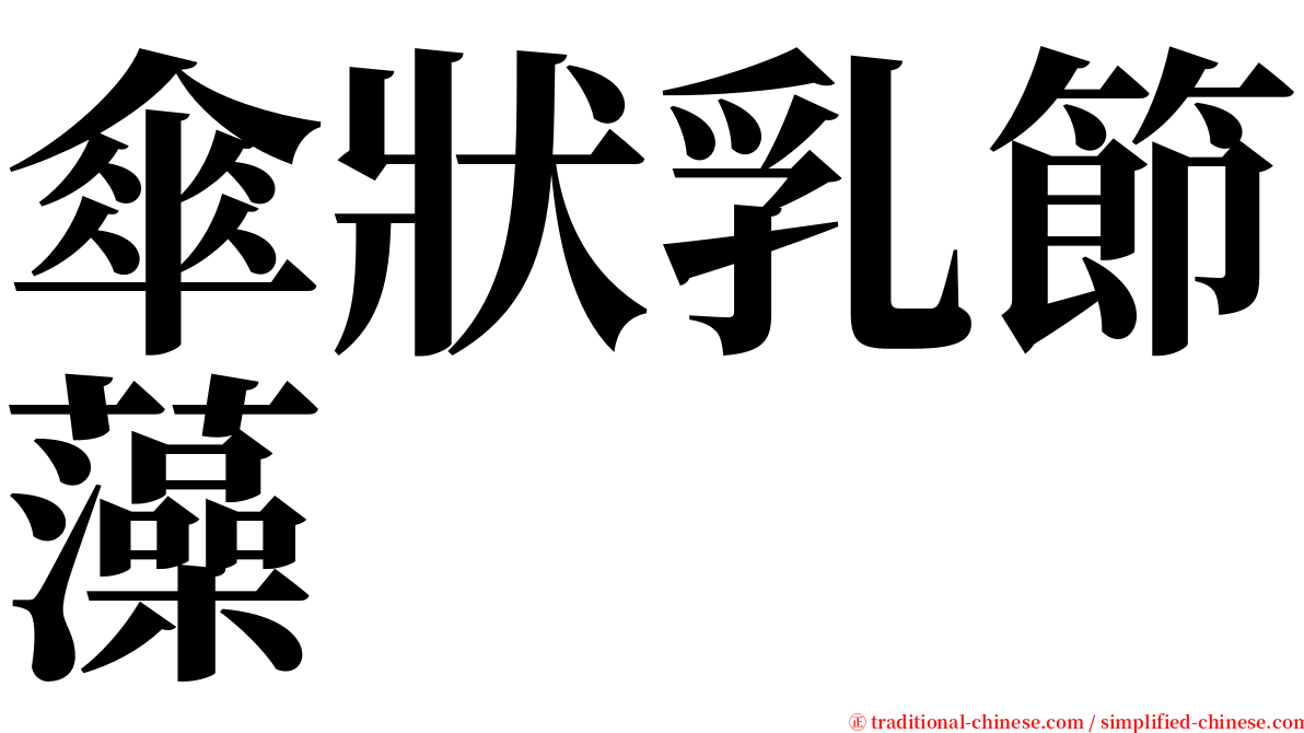 傘狀乳節藻 serif font