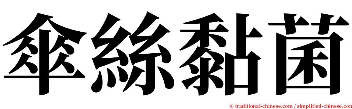 傘絲黏菌 serif font