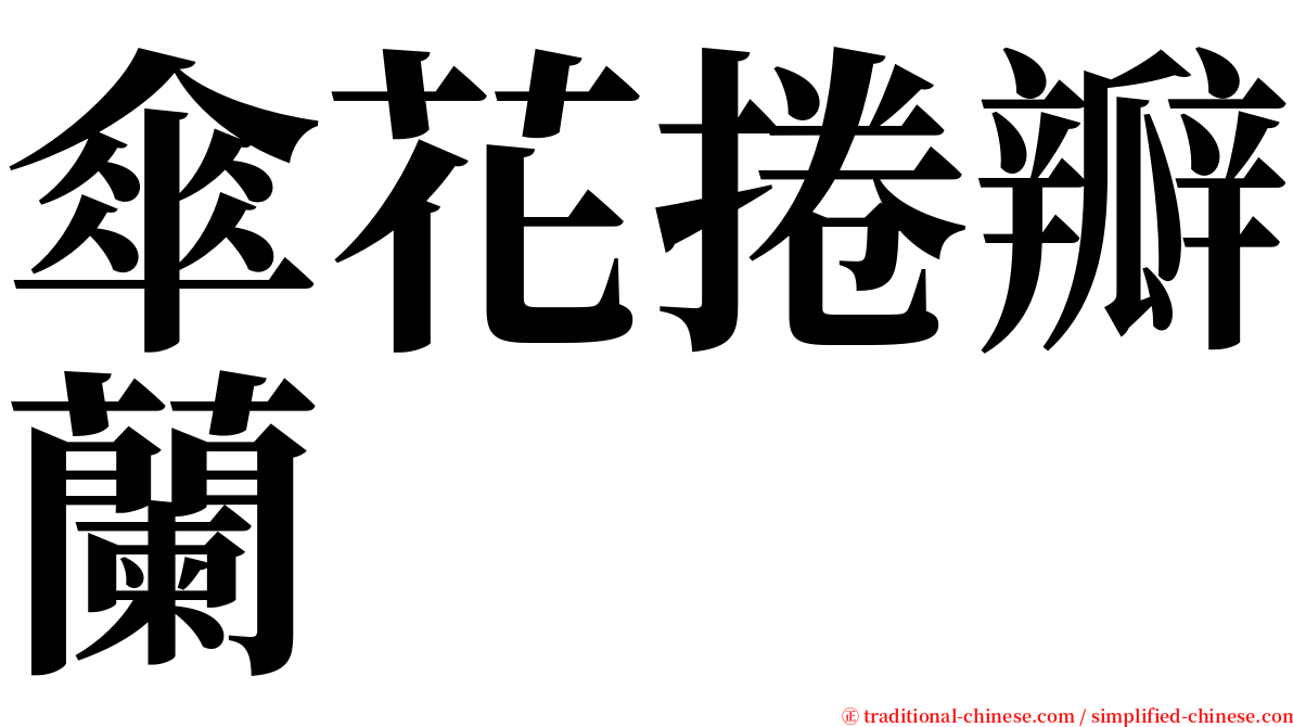 傘花捲瓣蘭 serif font