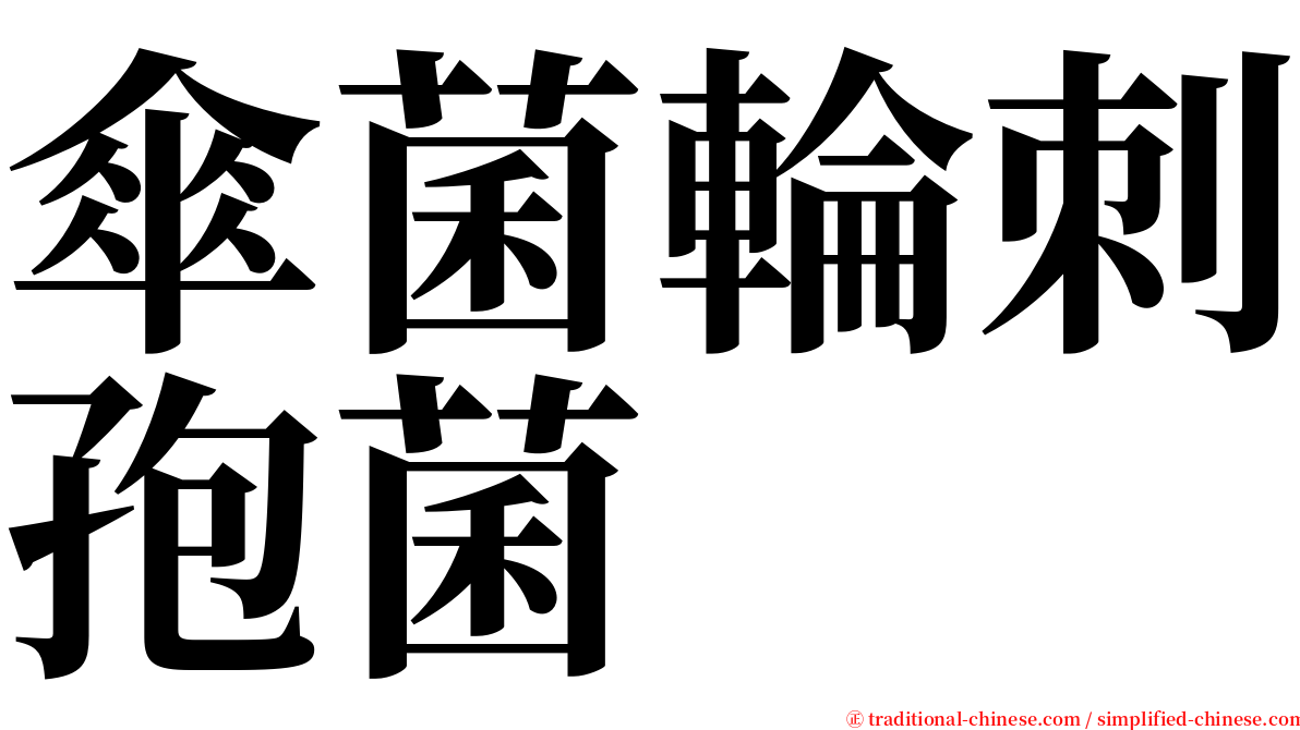 傘菌輪刺孢菌 serif font