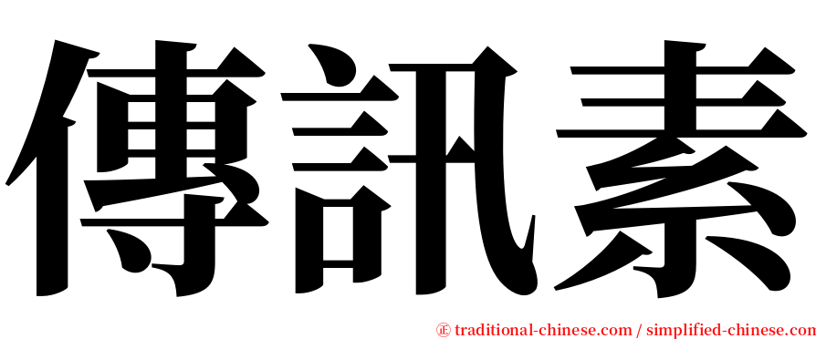 傳訊素 serif font