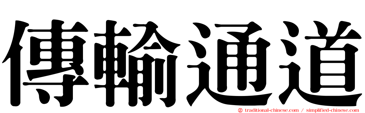 傳輸通道