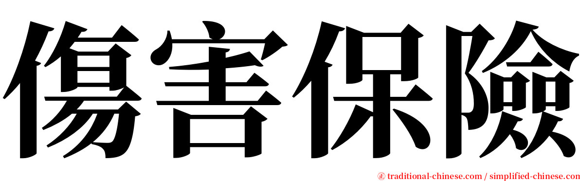 傷害保險 serif font