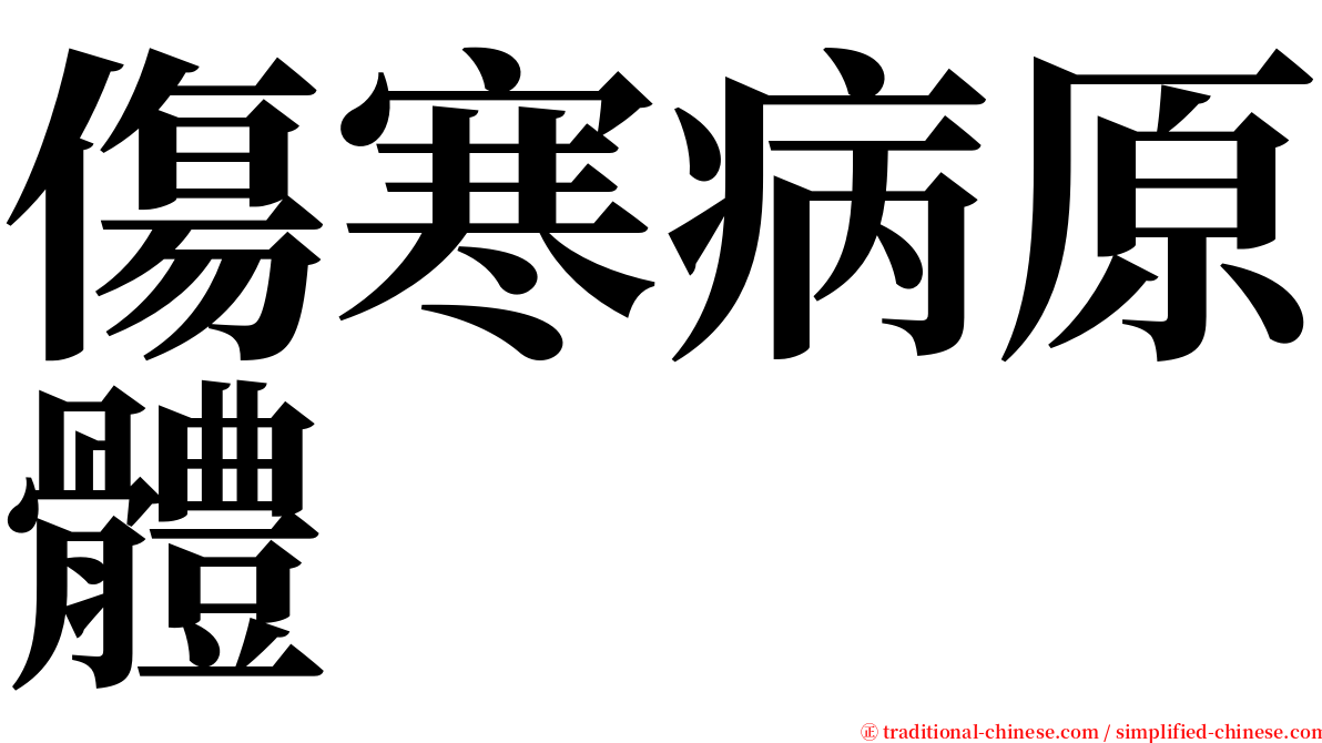 傷寒病原體 serif font