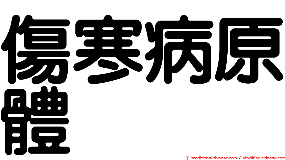 傷寒病原體
