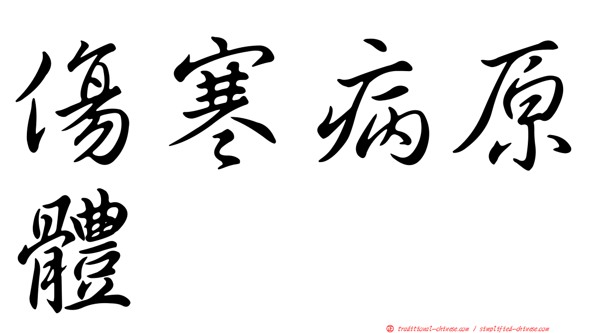 傷寒病原體