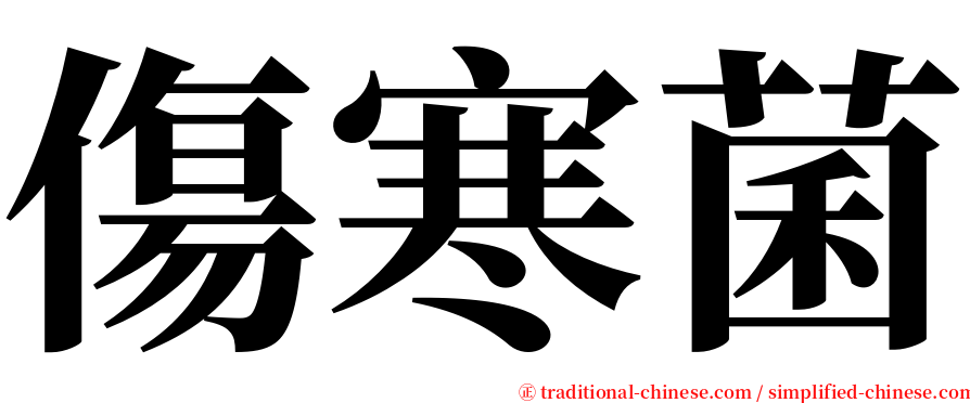 傷寒菌 serif font