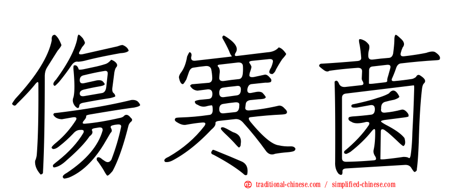 傷寒菌