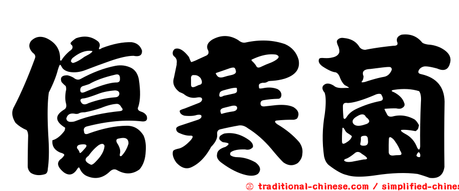 傷寒菌