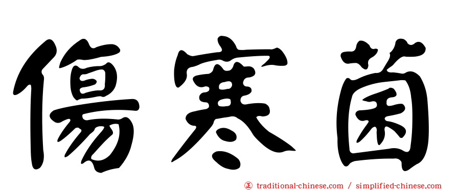 傷寒菌