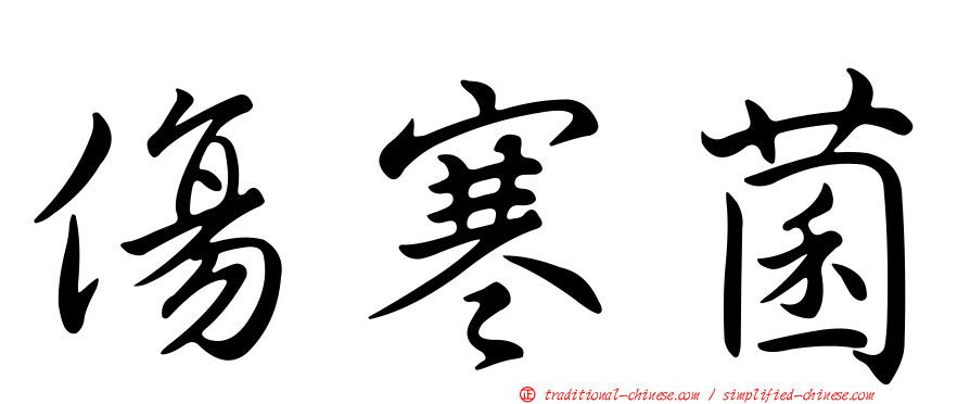 傷寒菌