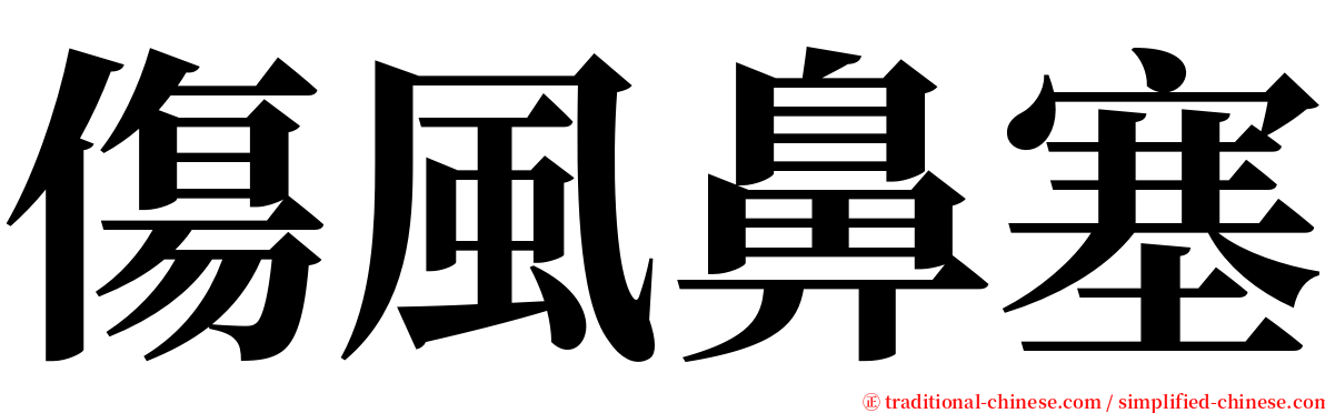 傷風鼻塞 serif font