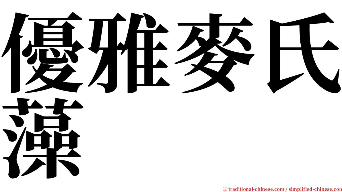 優雅麥氏藻 serif font