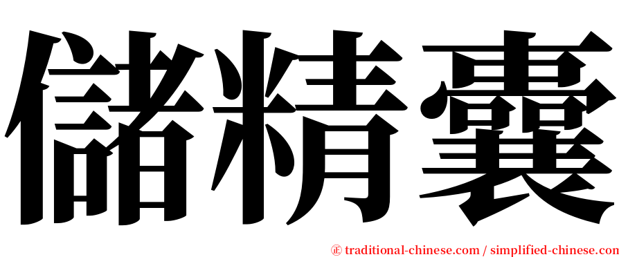 儲精囊 serif font