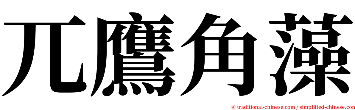 兀鷹角藻 serif font