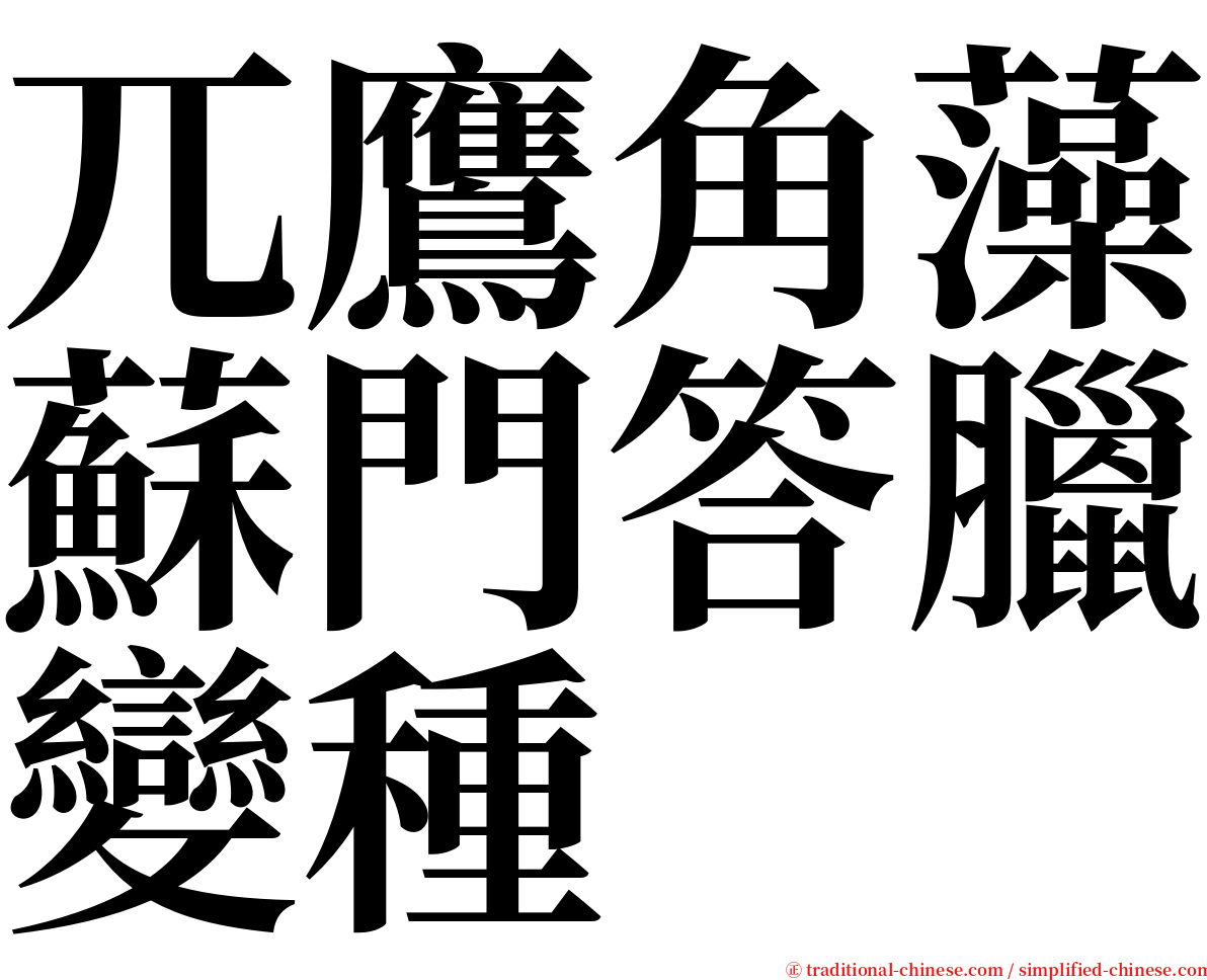 兀鷹角藻蘇門答臘變種 serif font