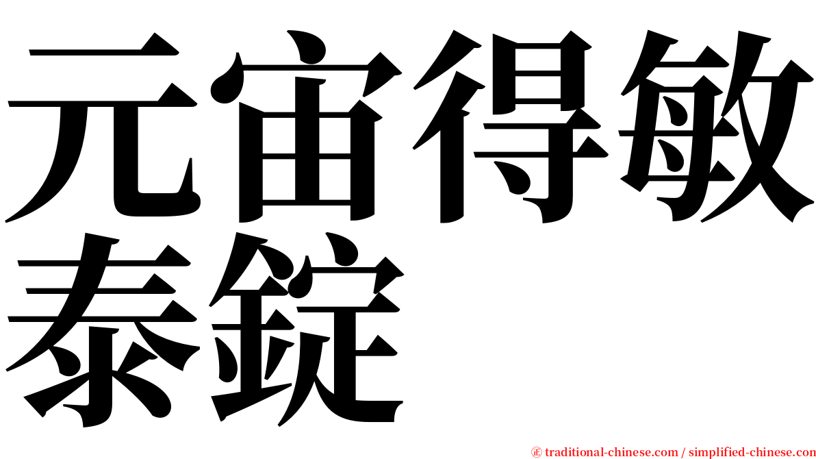 元宙得敏泰錠 serif font