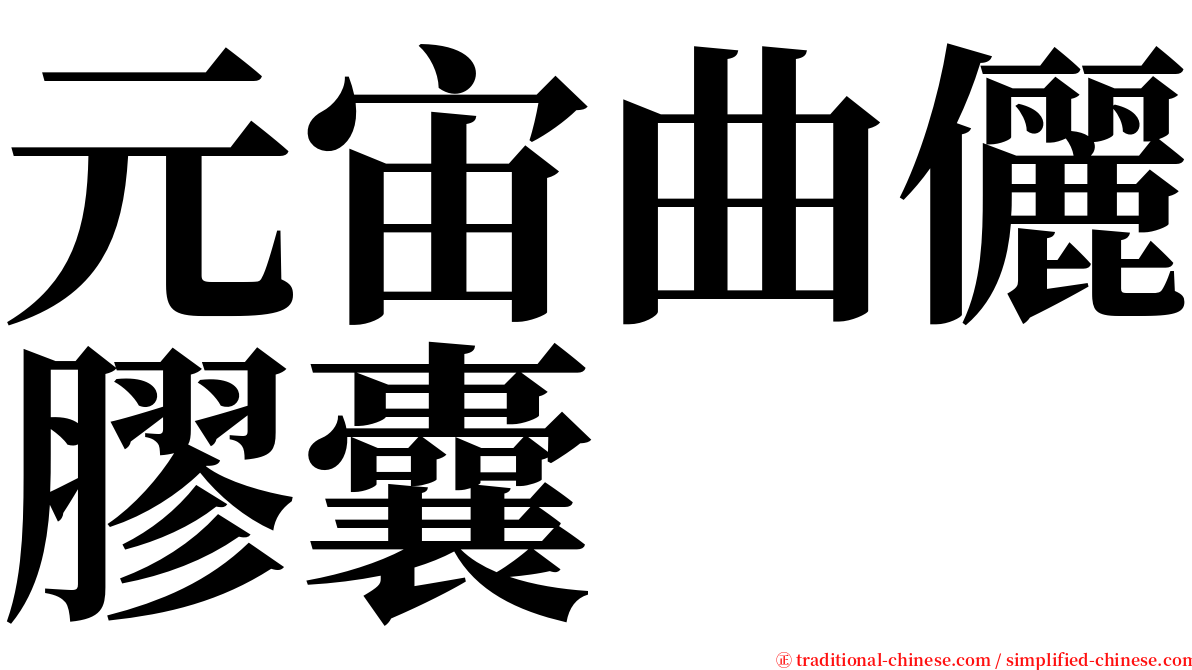 元宙曲儷膠囊 serif font