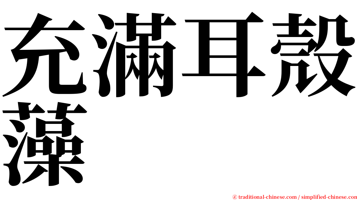 充滿耳殼藻 serif font