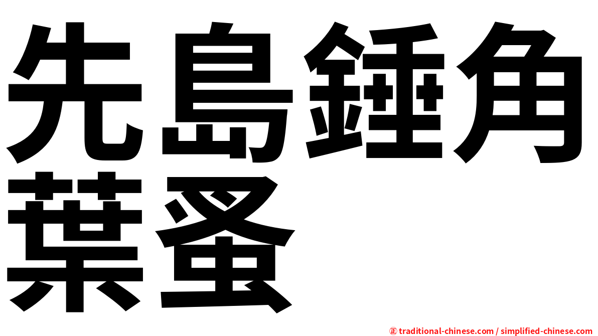 先島錘角葉蚤