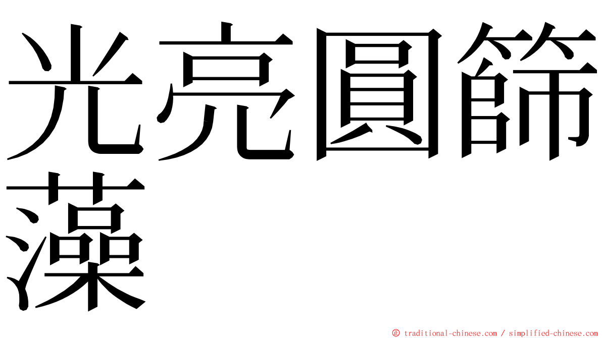 光亮圓篩藻 ming font