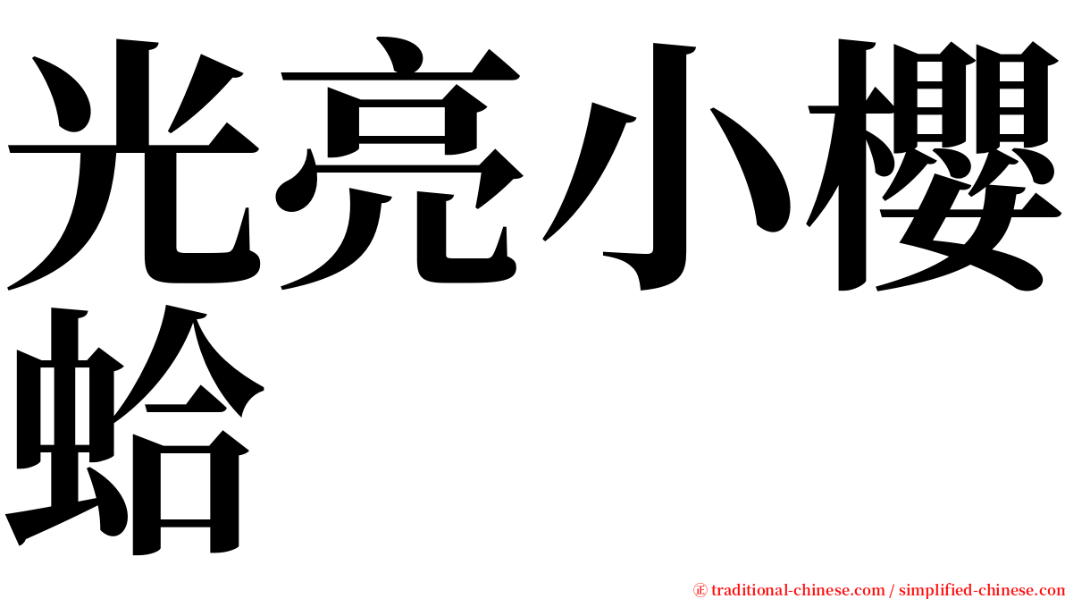 光亮小櫻蛤 serif font