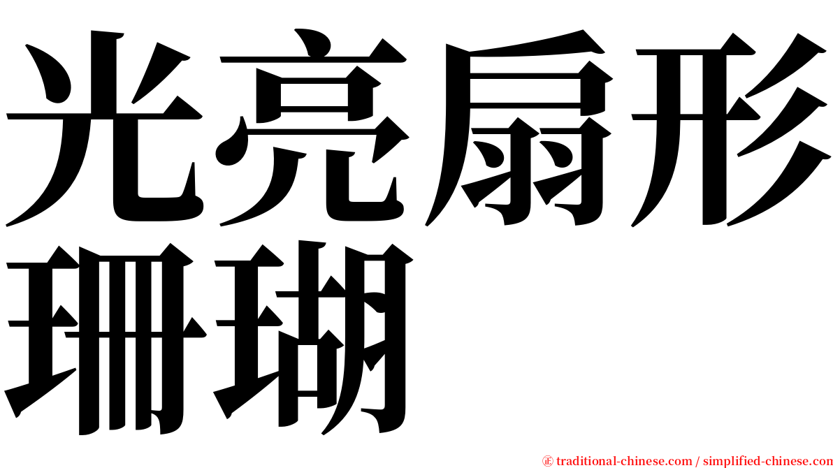 光亮扇形珊瑚 serif font