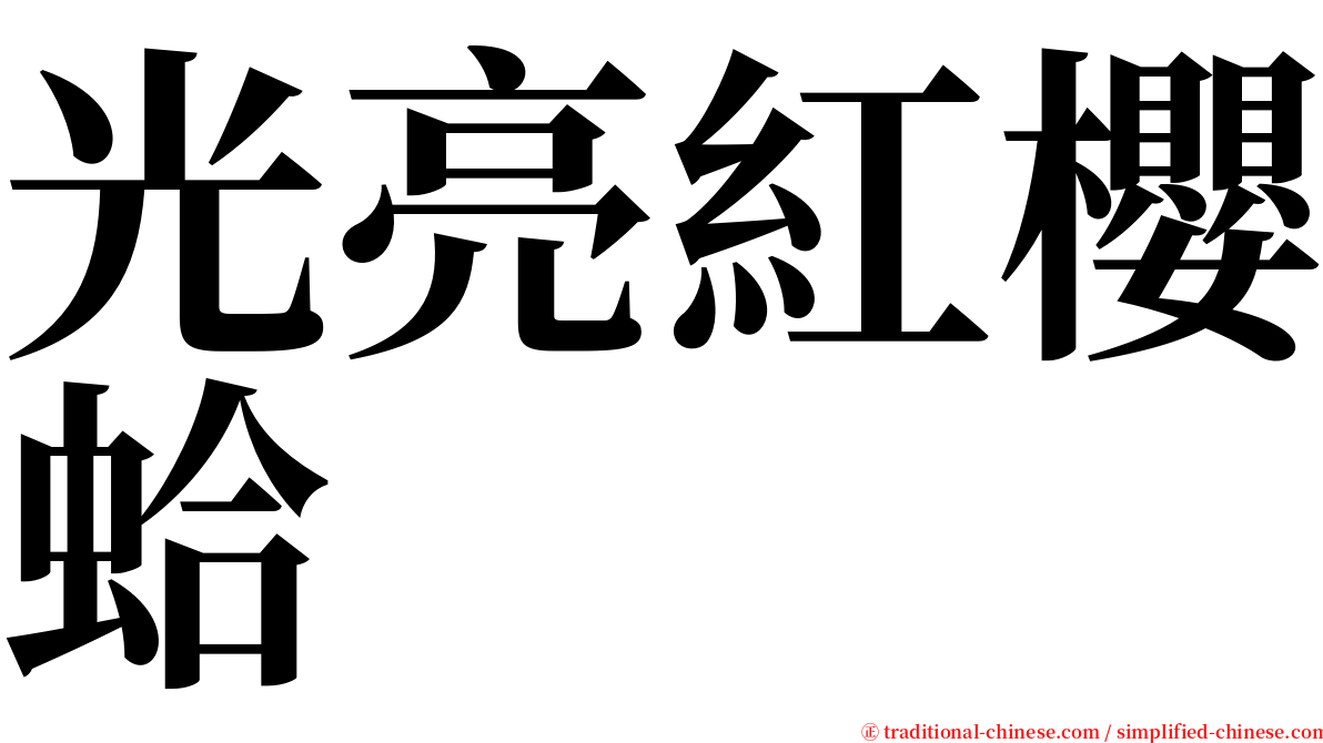 光亮紅櫻蛤 serif font